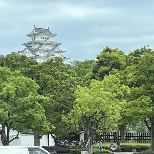 ちゃちゃりょうまのカバー写真