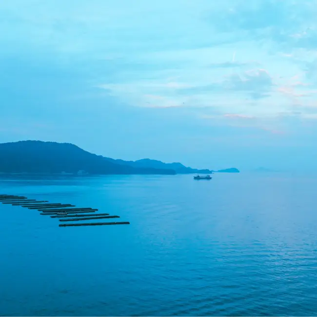 Fumi-kのカバー写真