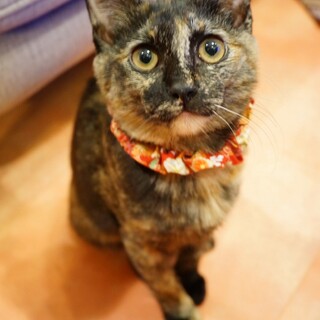 添い寝女子のひかりちゃん♡