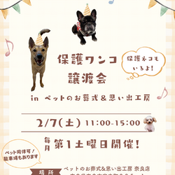 保護ワンコ譲渡会 in ペットのお葬式＆思い出工房