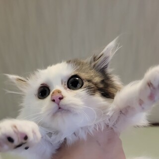 条件変更の為一旦終了します