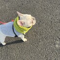 一度募集を終了いたします