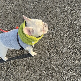 一度募集を終了いたします