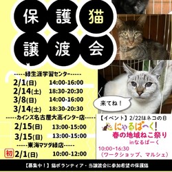 名古屋市緑区猫の譲渡会 サムネイル1