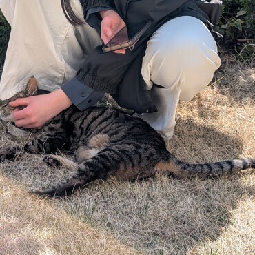 娘と猫、庭にて。猫は庭で自由に暮らしていました。