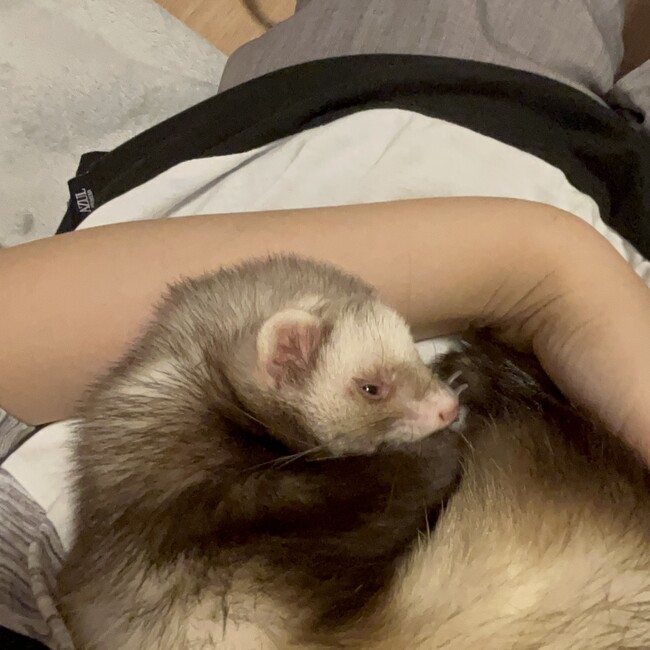 iruka00のカバー写真