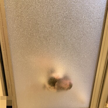 お風呂に入ってる時も、お座りしてじっと待っているVIVIちゃん！