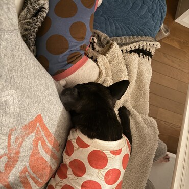 横に寝てる間に、ママの膝で爆睡！重いよー！