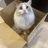 のりてん512