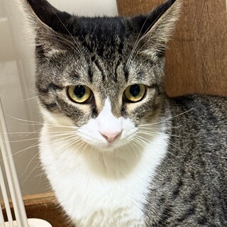 人間大好き遊ぶのも好き！野口笑子ちゃん