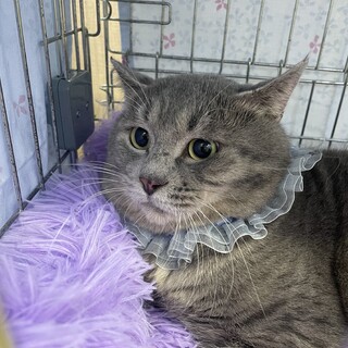 心優しき漢！人にはめっちゃ甘えんboy