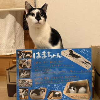 一緒に寝てくれる甘えん坊のはまちゃん！