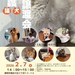 保護猫＆保護犬 譲渡会