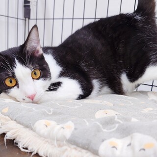 元気いっぱい「オペラくん」