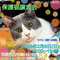 ねこけん千葉支部　譲渡会 サムネイル1