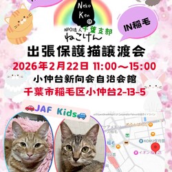 ねこけん千葉支部　譲渡会 サムネイル1