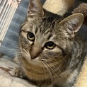 調整中のため、一旦ストップさせていただきます。