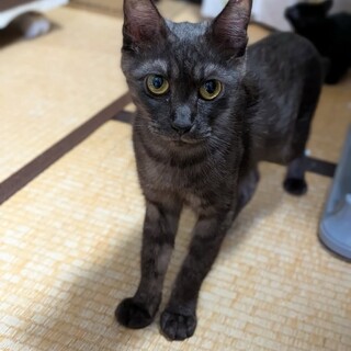 専属のお膝を探しています