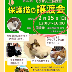 ～保護猫譲渡会～byもひかん王国