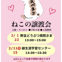 猫の譲渡会 2/15（日）名古屋市　緑生涯学習センターで開催