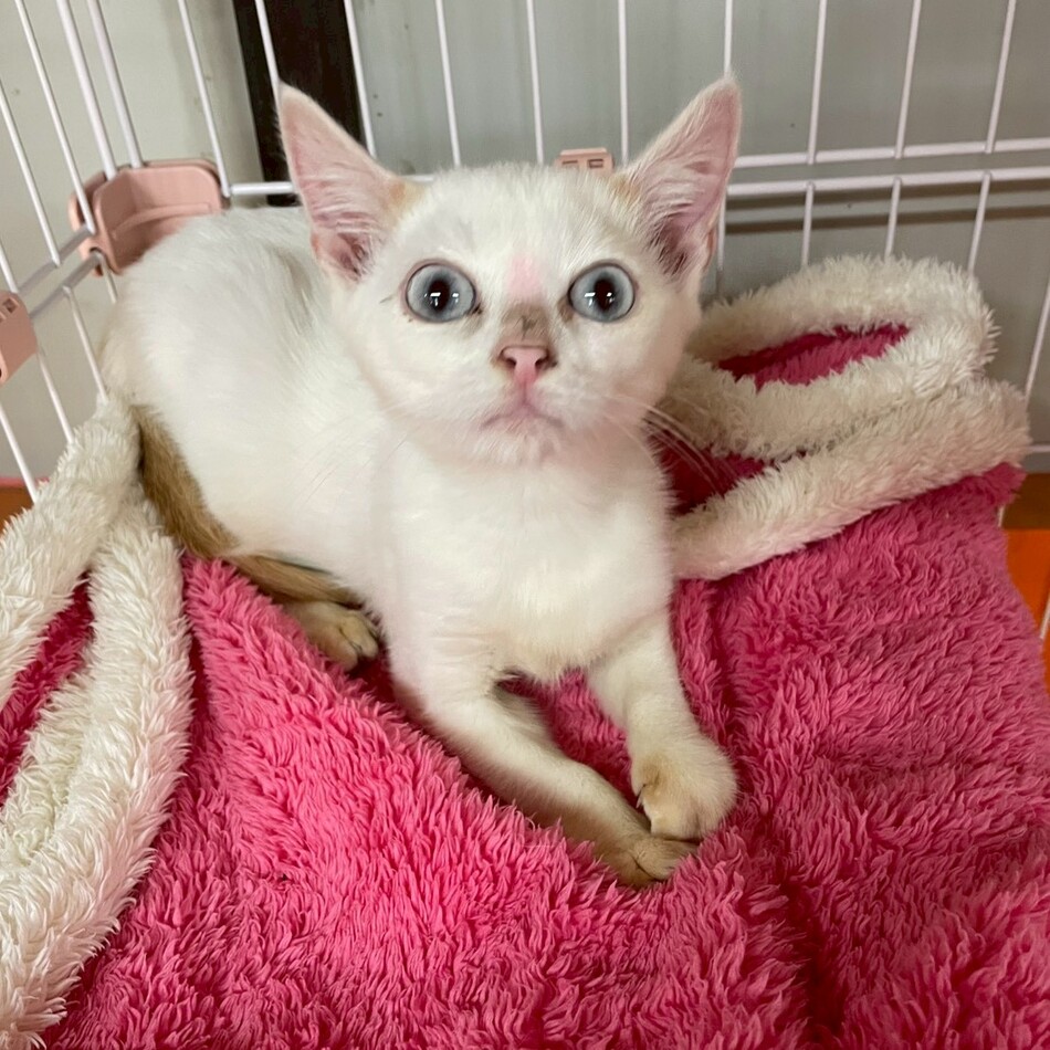 くるるのカバー写真