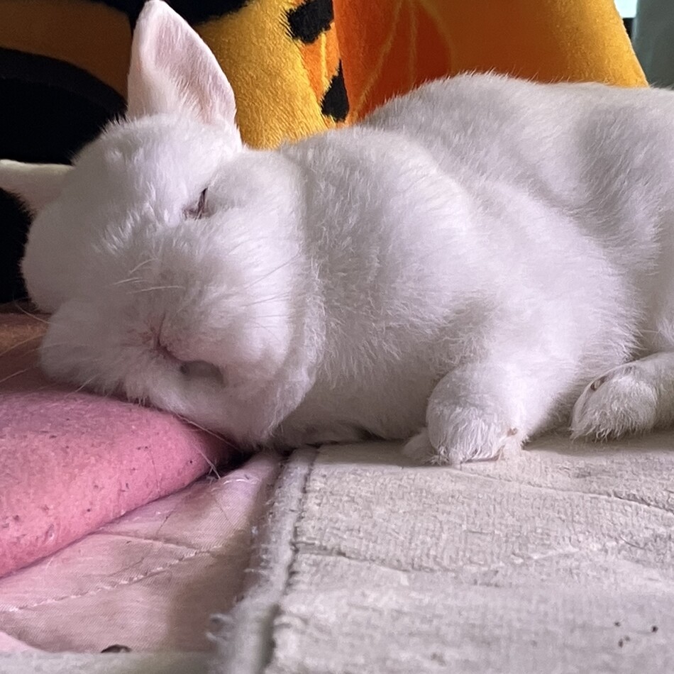 まるまるのカバー写真