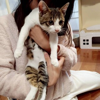 譲渡会にて里親様決定しました！