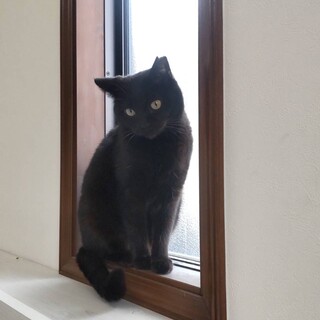 里親さん募集中です