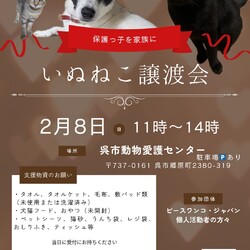 いぬねこ譲渡会