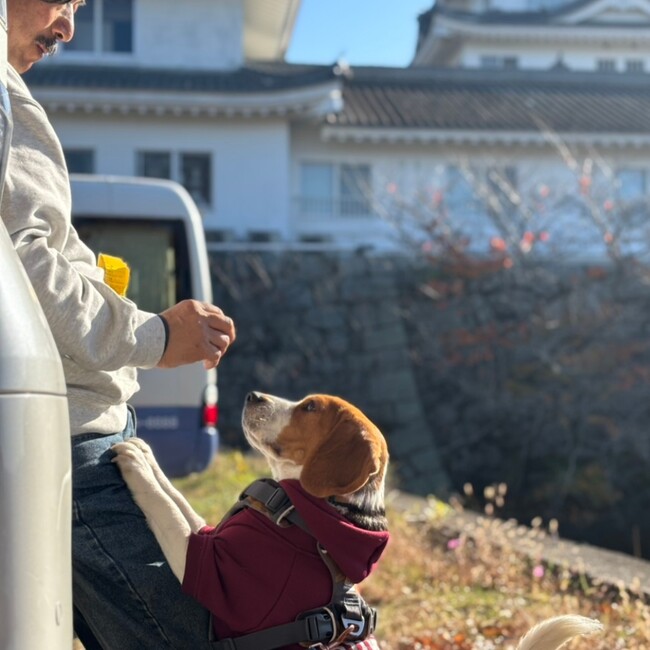 サンシャワーのカバー写真