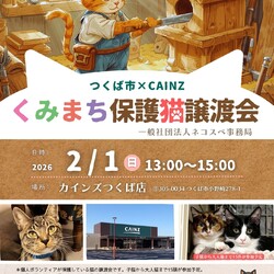 つくば市✖️CAINZ. くみまち保護猫譲渡会
