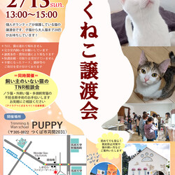 つくねこ譲渡会