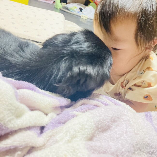 yuuka1115のカバー写真