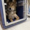 【星夜】控え目でビビリな男の子 サムネイル3