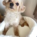 決まりました！ありがとうございました