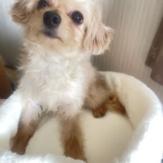 決まりました！ありがとうございました