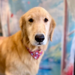 Τ���罸�Υ�����ǥ��ȥ�С������ո�