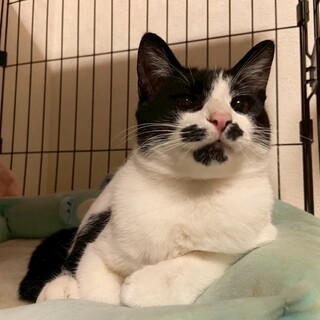 ෆ⃛おっとりさんෆ⃛パルムくん