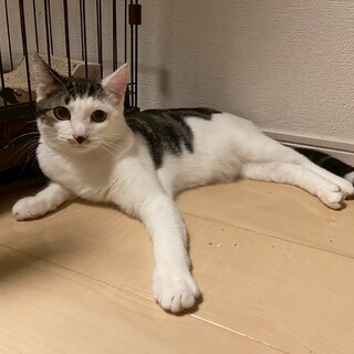 ෆ⃛おしゃれ番長ෆ⃛ぱっつんくん