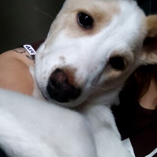 甘えん坊の女の子(あめちゃん)