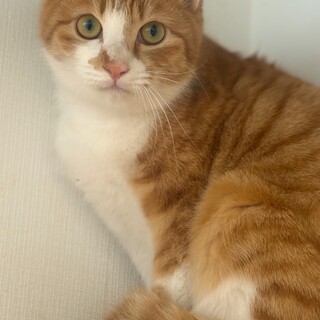 仲良くなると甘えん坊ほたるくん（2/14譲渡会）