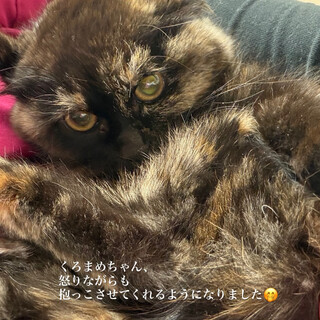 ちょっと怖がりくろまめちゃん