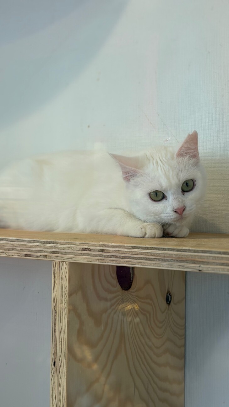 甘えん坊な美少女ゆきみ サムネイル3