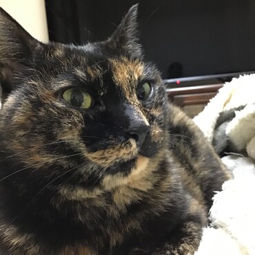 倖ちゃん、欲しいものどんどんカートに入れちゃいな！（怖いゆっちより）