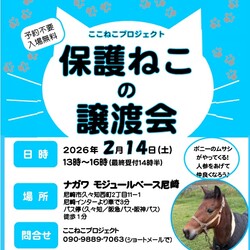 ここねこプロジェクト　保護ねこ譲渡会 in 尼崎