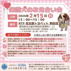 NTP 名古屋トヨペット熱田店様 お見合い会