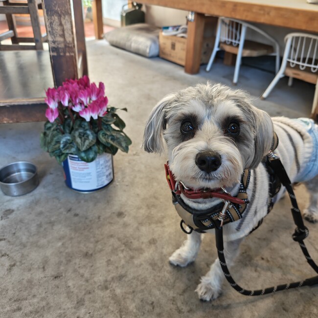 megumi_ksgのカバー写真