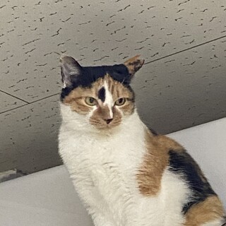 お外で頑張ってきたみなちゃんにずっとのおうちを！