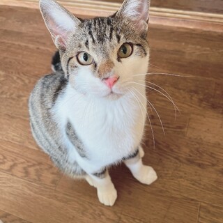 半年の子でもいい方里親になってください！