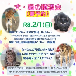 犬・猫の譲渡会
